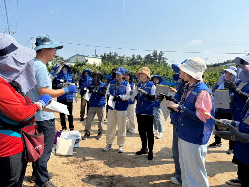 사진 2. 한국콘텐츠진흥원은 지난 21일 나주 금천면에 있는 배 재배 과수원을 찾아 ‘농촌일손돕기 봉사활동’을 진행했다.